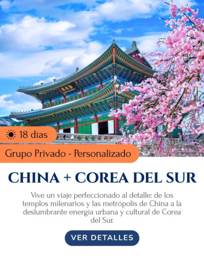 chinaycorea chinaycorea